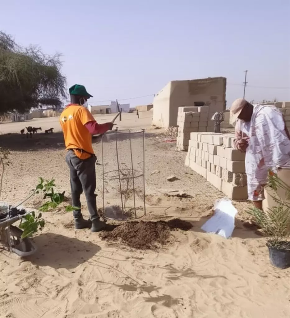 Campagne de reboisement 2024 à Daara Halaybé, photo 3